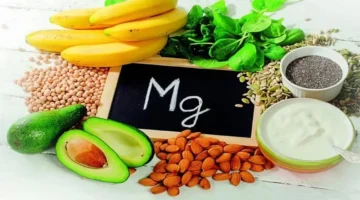 أنظمة غذائية تدعم صحة القلب ووظائف الدماغ وتساهم في إطالة العمر